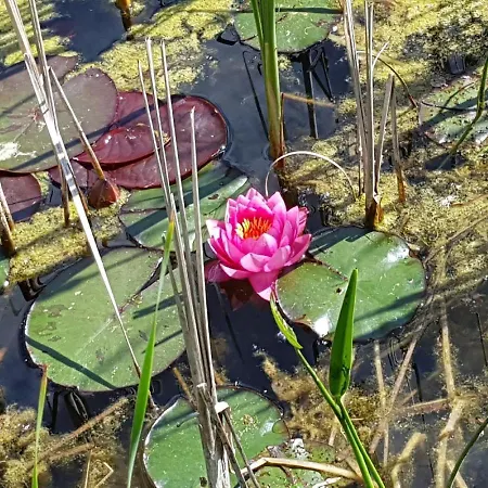 Propstei Alojamento de Acomodação e Pequeno-almoço
