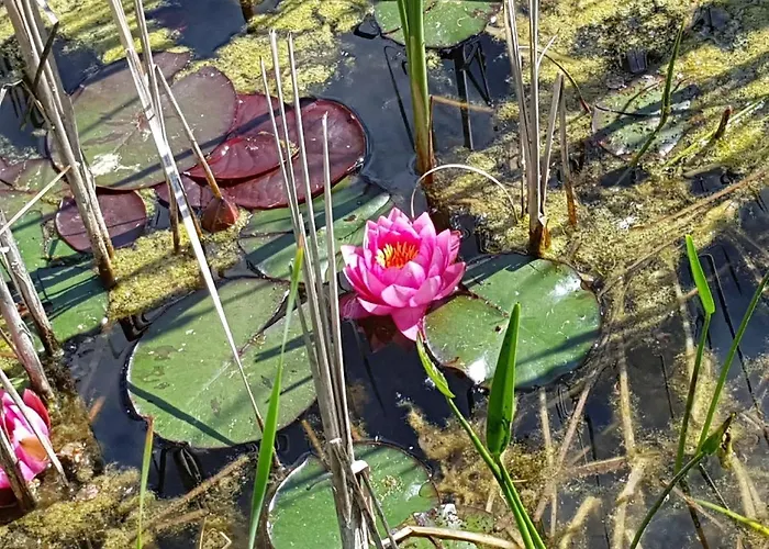 Propstei Couette-café